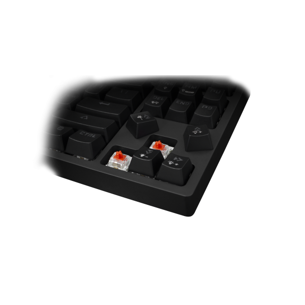 WHITE SHARK Premium Linija TIPKOVNICA ESL-K1 KODACHI / US - Slika 4