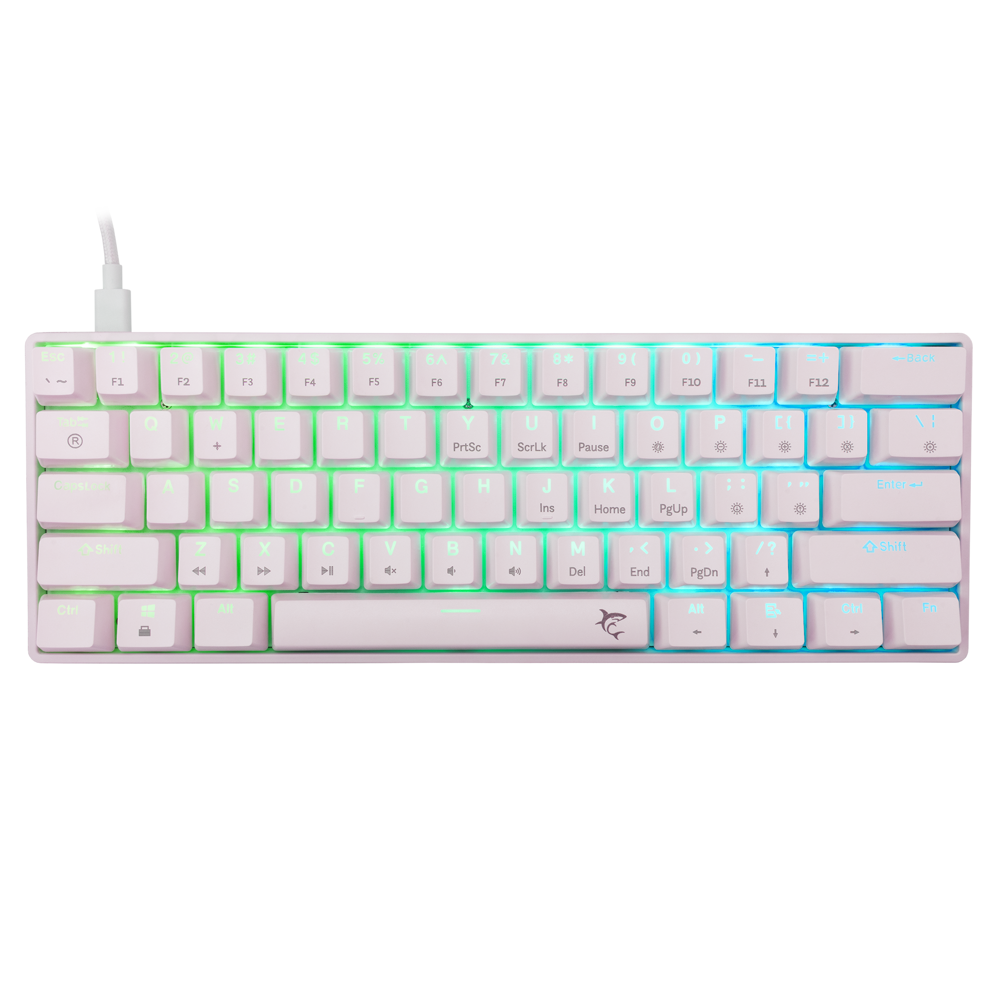 Shinobi 2 White Blue Switch US