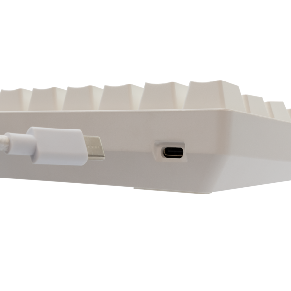 Shinobi 2 White Red Switch US