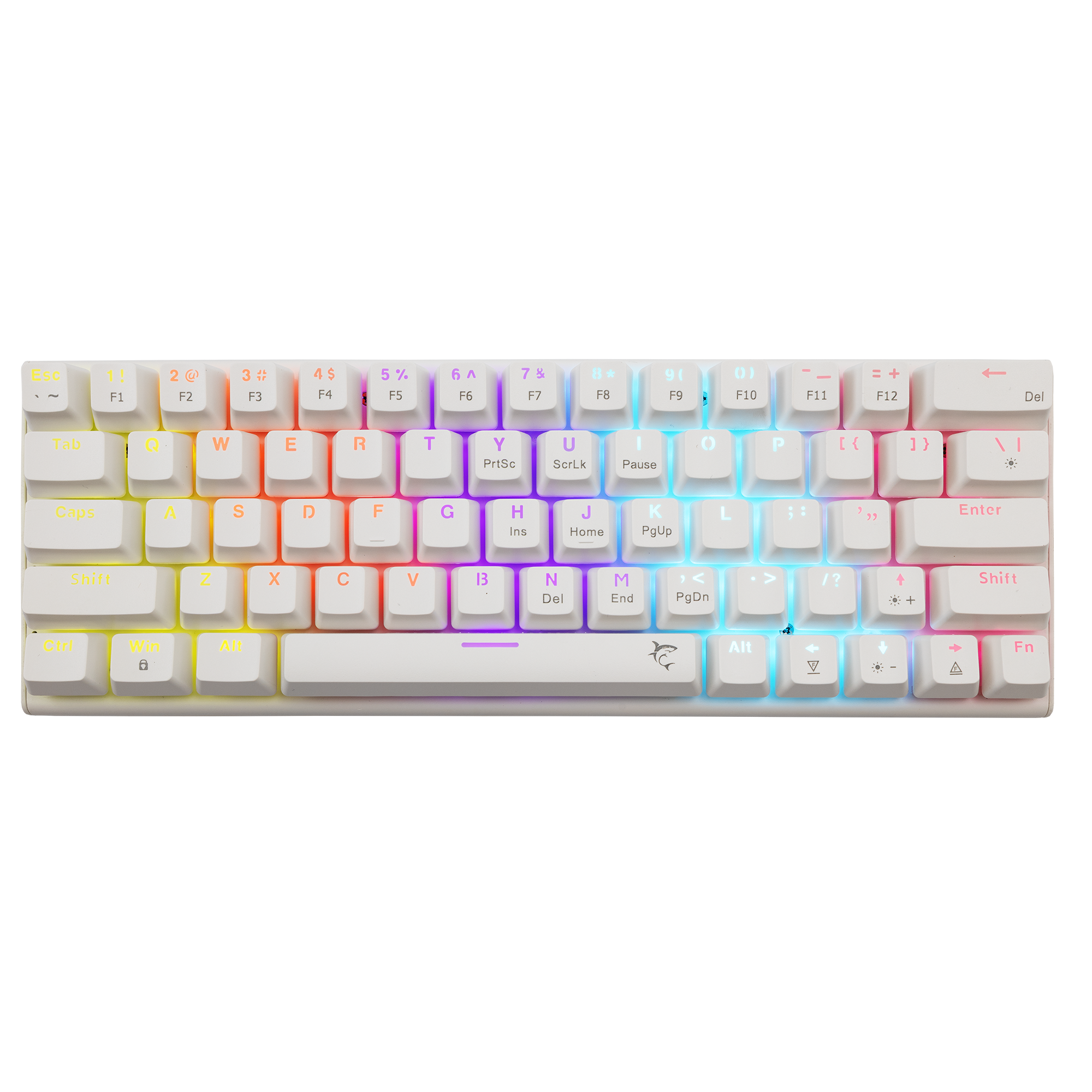 WAKIZASHI WHITE BLUE SWITCH US