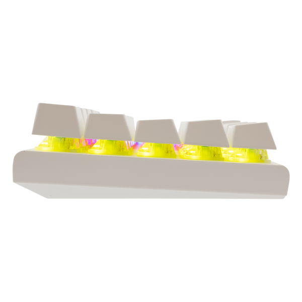 WAKIZASHI WHITE BLUE SWITCH US